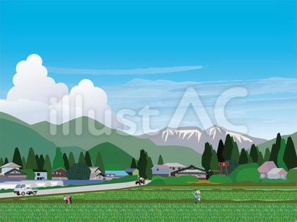 信州安曇野の農業風景(盛夏)