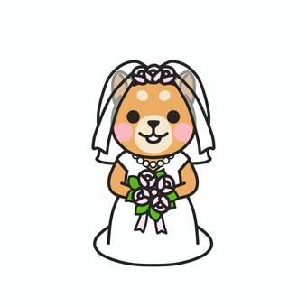 ウエディングドレスを着たイヌ 結婚式,セレモニー,ブライダル,披露宴,花嫁,新婦,記念日,記念,冠婚葬祭,ウエディングドレスのイラスト素材