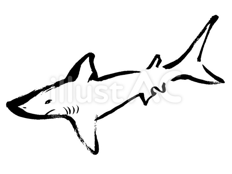 サメ（モノクロ） サメ,魚,モノクロのイラスト素材