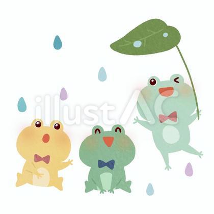 雨の日カエル
