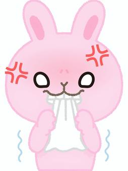 うさぎ悔しい ウサギ,悔しい,イライラ,ジェラシー,震える,動物,ラビット,バニー,ヘアー,ピンクのイラスト素材
