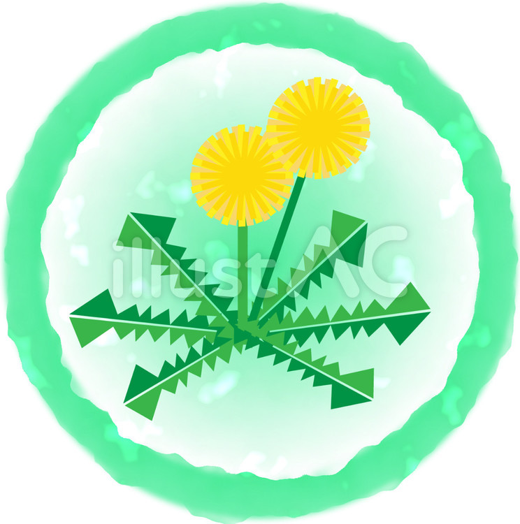 たんぽぽ　緑丸枠 たんぽぽ,タンポポ,花のイラスト素材
