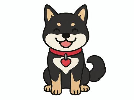 A black Shiba Inu wearing a red heart collar, kuroshiba, animal, sit, JPG and PNG