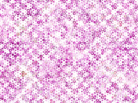 ピンクのグランジな斑模様の背景壁紙素材 斑模様,グランジ,ピンク,薄紫色,背景,壁紙,抽象的,テクスチャ,水彩画,シンプルのイラスト素材