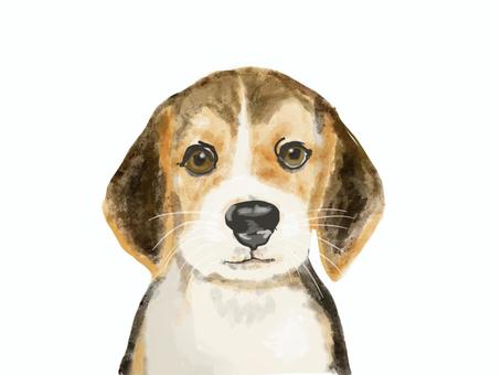 ビーグル ビーグル ビーグル,子犬,犬,ペット,パステル,手描きのイラスト素材