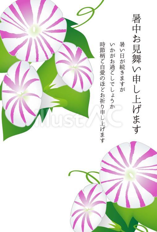暑中見舞い・模様付き朝顔_縦 暑中見舞い,朝顔,模様のイラスト素材