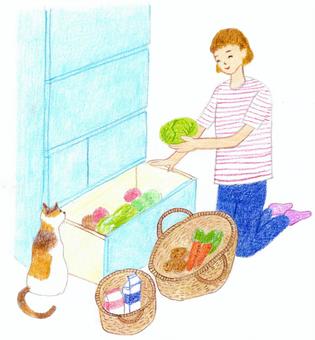 冷蔵庫へ食品をしまう手描きイラスト 冷蔵庫へ食品をしまう手描きイラスト 冷蔵庫,食品,買い物,しまう,片づける,名もなき家事,猫,野菜,食材,色鉛筆画のイラスト素材