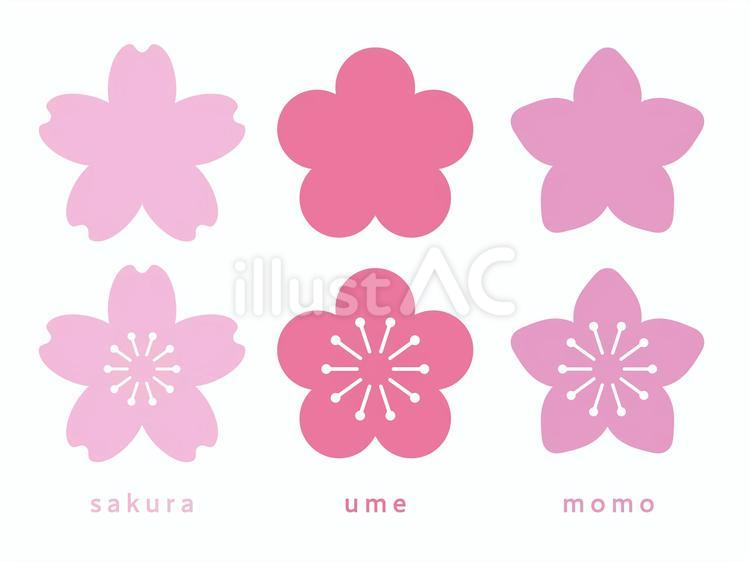 桜の花・梅の花・桃の花　アイコン　1 桜,桜の花,梅のイラスト素材