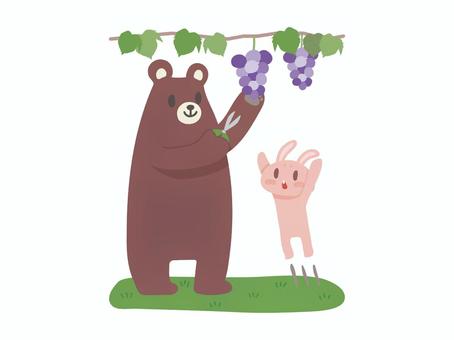 ぶどう狩りをするくまとうさぎのイラスト