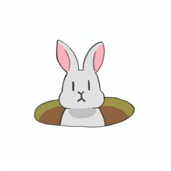 穴からひょっこり顔出すうさぎ 動物,白うさぎ,穴,ひょっこり,フリーハンド,かわいいのイラスト素材