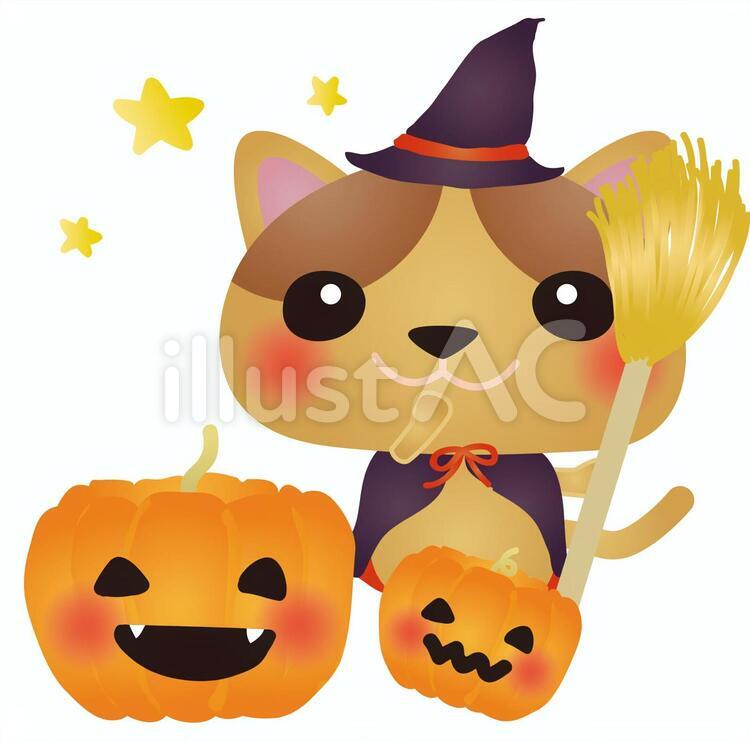 cat258 猫,ハロウィーン,かぼちゃのイラスト素材