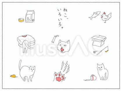 ねこいろいろ。