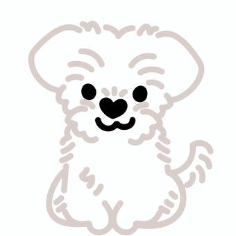 ハート鼻のマルチーズ（おすわり）1 マルチーズ,トイプードル,犬,動物,ハート,鼻,おすわり,シンプル,かわいい,キュートのイラスト素材