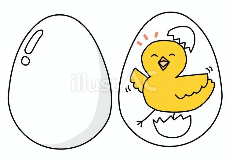 卵とヒヨコ ヒヨコ,生き物,保育教材のイラスト素材