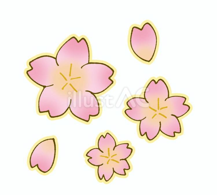 ピンクの桜の花 桜,花,手書きのイラスト素材