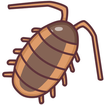 フナムシ　かわいいデフォルメイラスト フナムシ,磯,海,釣り餌,虫,海岸,港,水際,岩場,生き物のイラスト素材