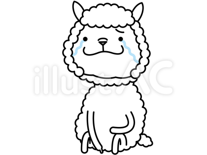 アルパカさん 泣く