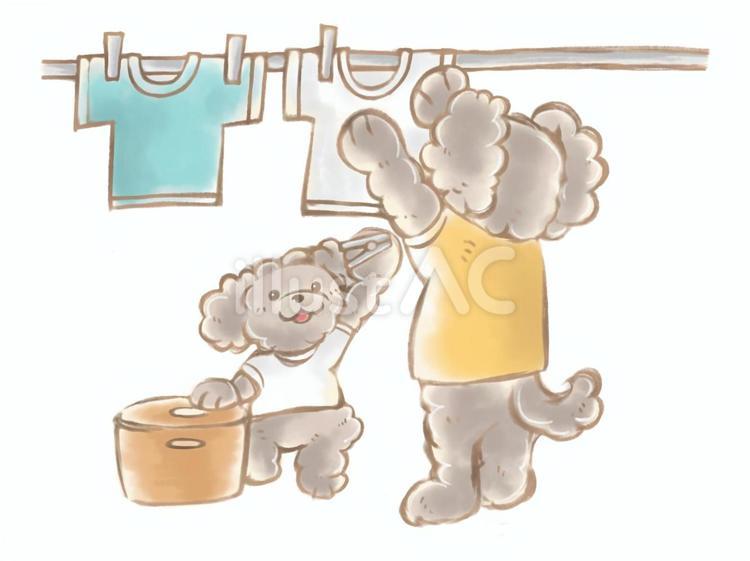 洗濯物を干す犬たち 犬,トイプードル,洗濯のイラスト素材