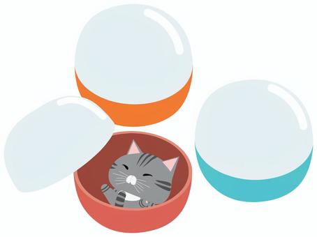 カプセルに入っているさばとら猫 カプセル,トイ,猫,さばとら,動物,かわいい,おもちゃ,景品のイラスト素材