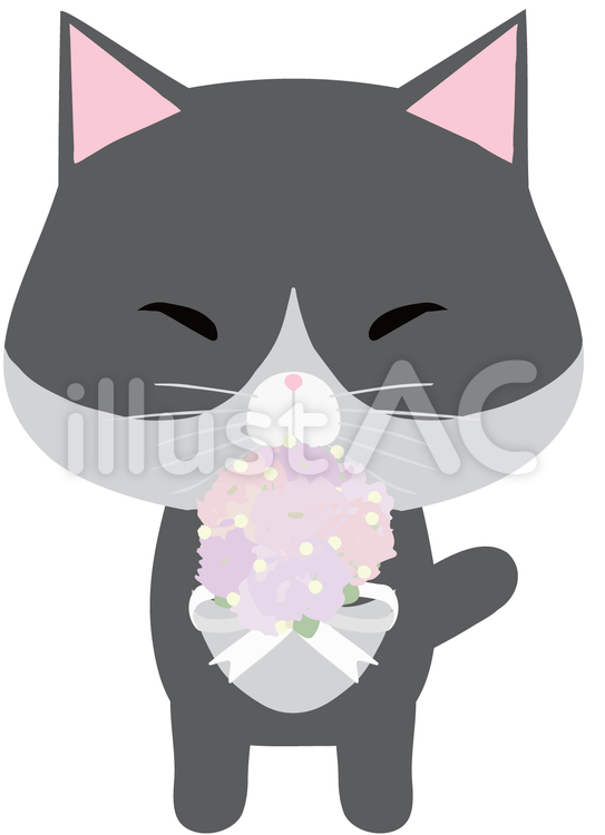 ブーケ_猫_はちわれ ブーケ,持つ,猫のイラスト素材