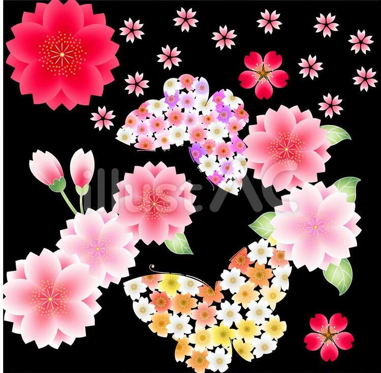 ai和風・蝶桜セット2 グラデーション,可愛い,赤のイラスト素材