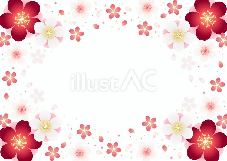 SpringFrame250131 梅,花,桜のイラスト素材