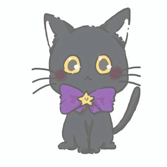 正面を向いて座る黒猫