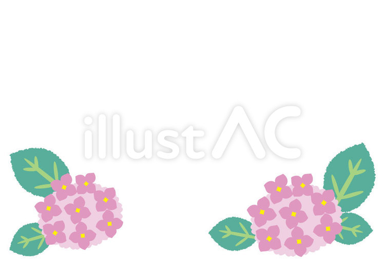 2017紫陽花フレーム-ピンク オトナ可愛い,june,hydrangeaのイラスト素材