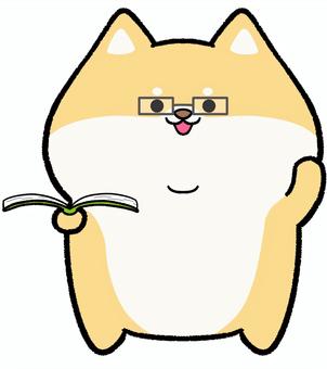 メガネをかけたゆるかわ柴犬