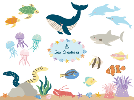 Illustration, sea, ocean, the ocean, 