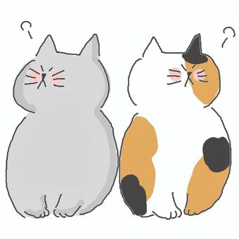 ケンカする三毛猫ちゃん ねこ,三毛猫,かわいい,ケンカ,嫌い,嫌,怒る,不満,不服,文句のイラスト素材