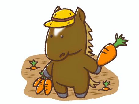 人参を収穫するウマ 人参を収穫するウマ 馬,人参,農家のイラスト素材