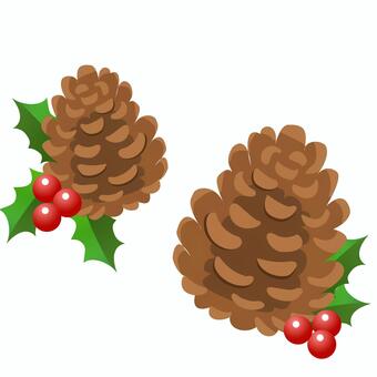 松ぼっくり3 秋,松ぼっくり,木の実,まつぼっくり,風物詩,マツボックリ,松ぼくり,実,球果,植物のイラスト素材