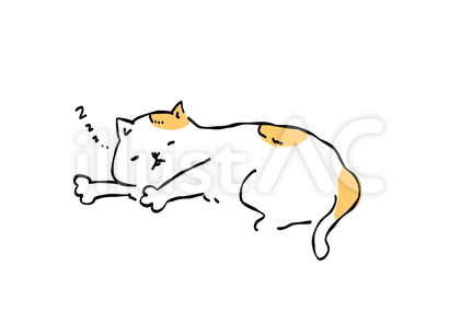 寝る 猫