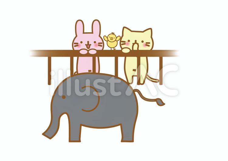 動物園　象 動物園,動物,象のイラスト素材