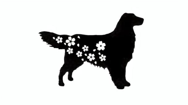 犬と桜のシルエット 犬,桜,花,彫刻,デザイン,切り絵,シルエット,モノクロ,ゴールデンレトリバーのイラスト素材