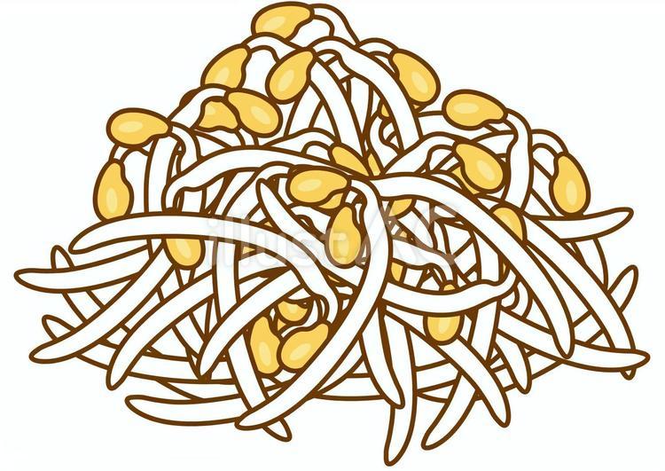 豆もやし-4c 豆もやし,もやし,野菜のイラスト素材