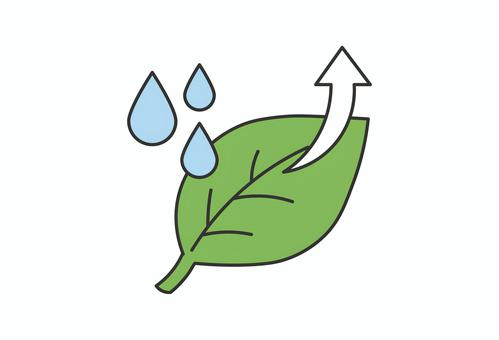 葉からの蒸散イラスト 蒸散,植物,葉っぱ,水分,蒸発,自然現象,生物,理科のイラスト素材
