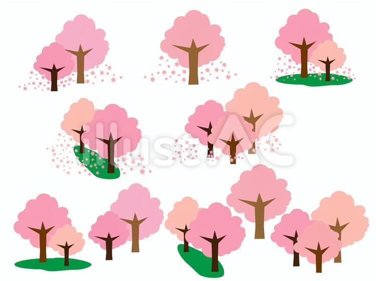 桜 桜散る,桜花,桜の木のイラスト素材
