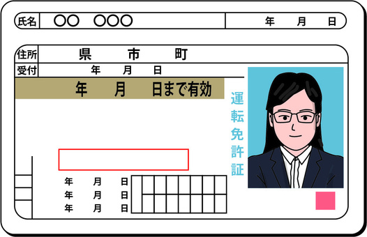 Illustration, driver's license, license, identification, 