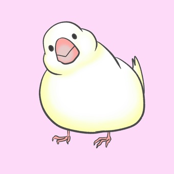 White sparrow, JPG White sparrow, sentenced bird, white bird, birdie, JPG
