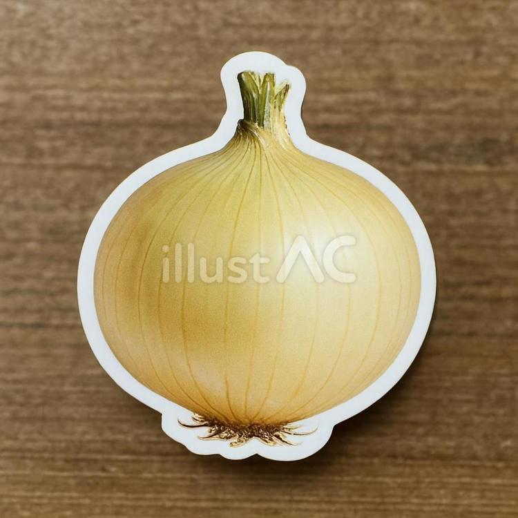 みずみずしい春の新たまねぎ 新たまねぎ,野菜,春のイラスト素材