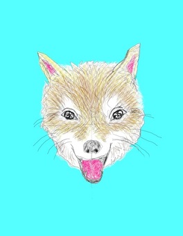 柴犬, JPG 柴犬, 柴犬, 復原, 鉛筆画, JPG