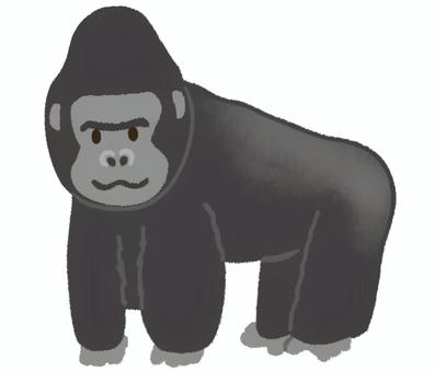 足を地面に付けた可愛いゴリラ ゴリラ,動物,野生,生き物,動物園,ジャングル,アフリカ,シルバーバック,黒,一頭のイラスト素材