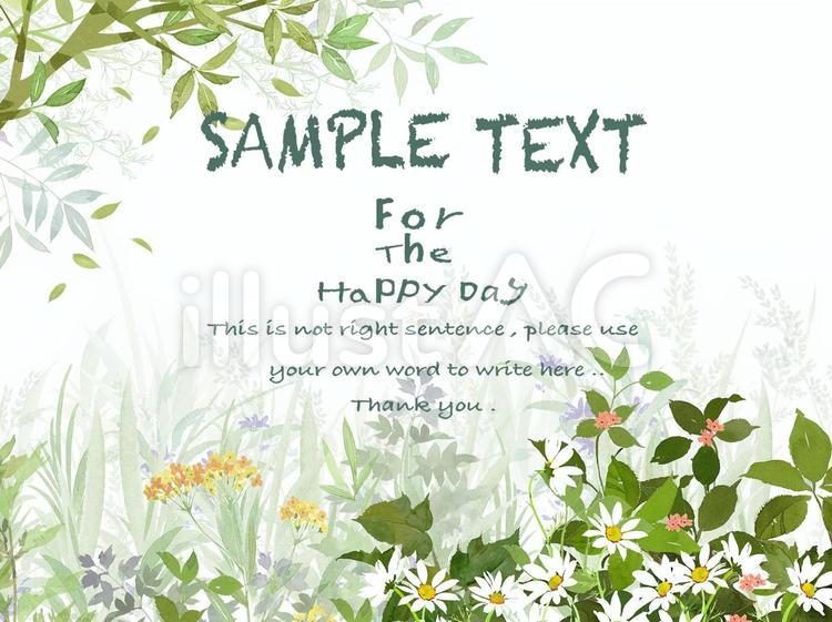 植物フレーム 野の花,植物,手書きのイラスト素材