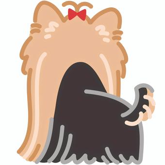 ヨークシャーテリア（うしろ）1 ヨークシャーテリア,犬,動物,立つ,うしろ,しっぽ,おしり,シンプル,かわいい,キュートのイラスト素材