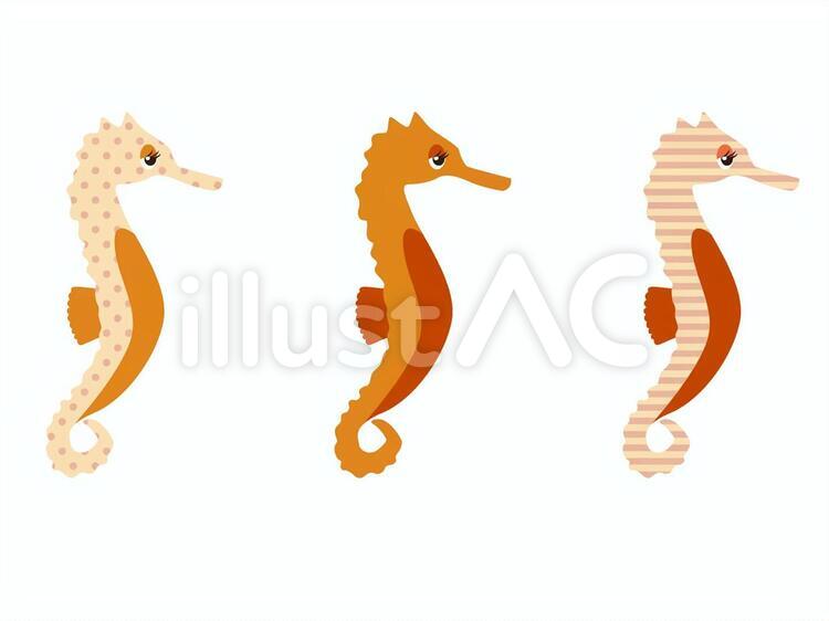 たつのおとしご たつのおとしご,辰,龍のイラスト素材