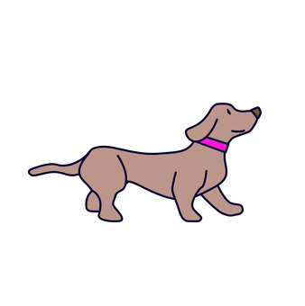 歩くダックスフンド