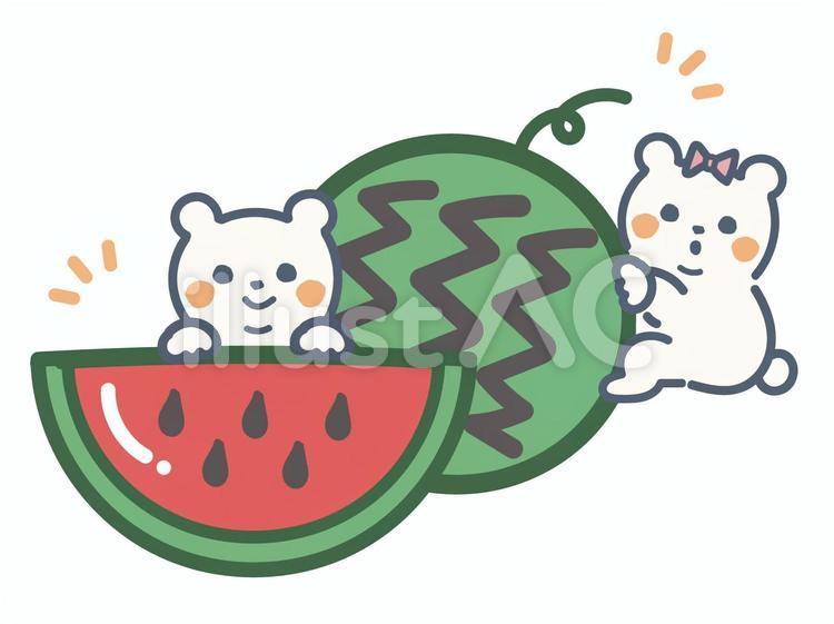 スイカとシロクマ２こセット スイカ,8月,7月のイラスト素材