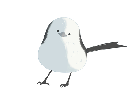 シマエナガ（正面・主線なし） シマエナガ,鳥,動物,北海道,白,正面,主線なしのイラスト素材